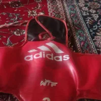هوگو تکواندو پشت رو