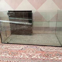 آکواریوم ریملس
