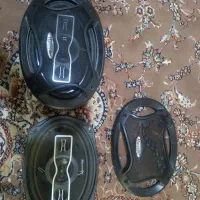 درحد صفر