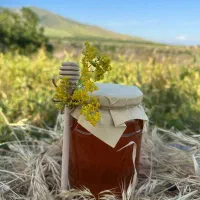 عسل طبیعی بهاره