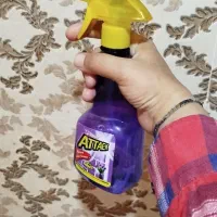 خدمات نظافتی شاه ثنم