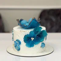 ثبت نام دوره جدید آغاز شد (کارینو کیک )
