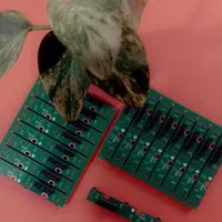 رایزر فلت ولتسماینر