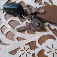 گم شدها