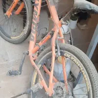 دوچرخه المپیا