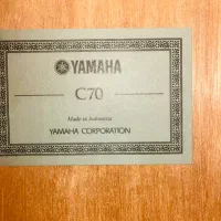 گیتار C70|گیتار، بیس، امپلیفایر|شیراز, زرهی|دیوار