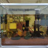 آکواریوم 50 لیتری