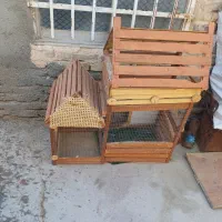 قفس چوبی سالم فروشی