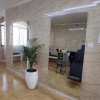۲ عدد آینه قدی دیواری