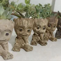 حراج انواع گل و گلدون به قیمت مناسب