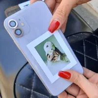 قاب عکس کادو