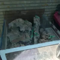 اکواریوم