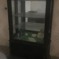 ویترین کنسول