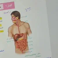 کلاس خصوصی زیست کنکور و نهایی