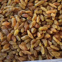 کشمش سبز
