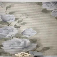 پرده زبرا تصویری