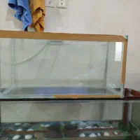 فروش آکواریوم