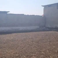 کاه