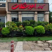 استخدام صندوقدار امیرشکلات