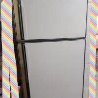 یخچال دودرسالم