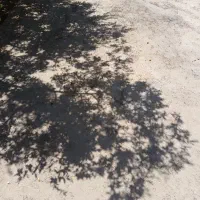 زمین خیابان فردوسی