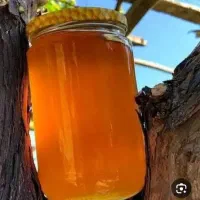 عسل صد در صد طبیعی