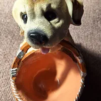 استند مدل سگ