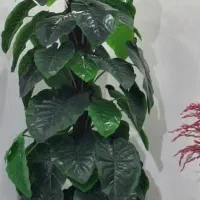 درختچه .گل مصنوعی