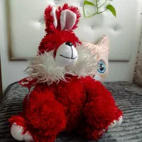عروسک پولیشی زیبا