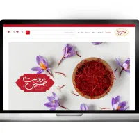 طراحی سایت فروشگاه و شرکتی