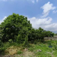 300-متر-زمین-مسکونی