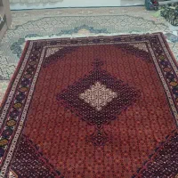 شش متری ماهی