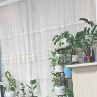 پرده