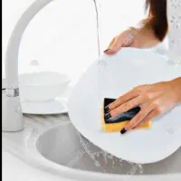 ظرفشور خانم برای همکاری در گریل بار ردین