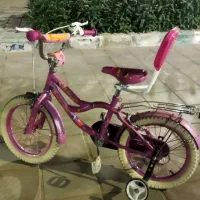 دوچرخه