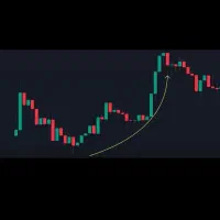 مهاجرت از مسیر بازار های مالی