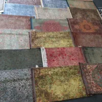 پادری کلاریس محتشم 700 شانه