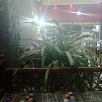 نیرو ساده