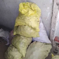 سیب زمینی قارچ شده