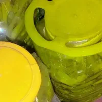 ترشی بیلهر