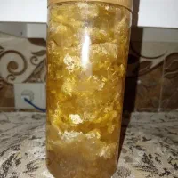 عسل کوهی