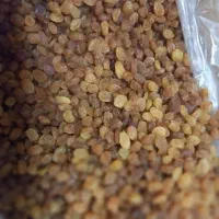 یک کارتون کشمش پلویی درجه ۱ فوری