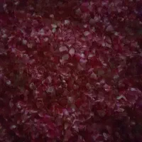 گل محمدی