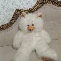 عروسک خرس(شاسخین)سایز خیلی خیلی بزرگ
