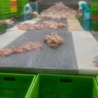 اگهی استخدام