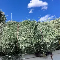 پرس یونجه درجه یک