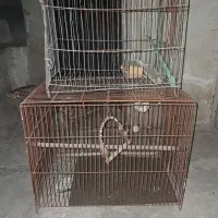 قفس پرنده
