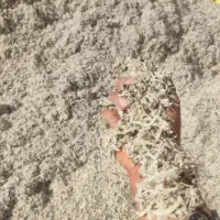 تفاله چغندر  خشک پرس  از نوع درجه یک