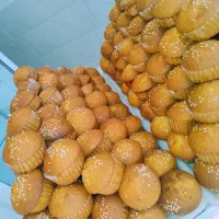کیک و شیرینی و کلوچه تخفیف