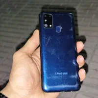 M31
